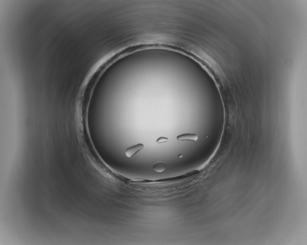 X0000113091120200908281238