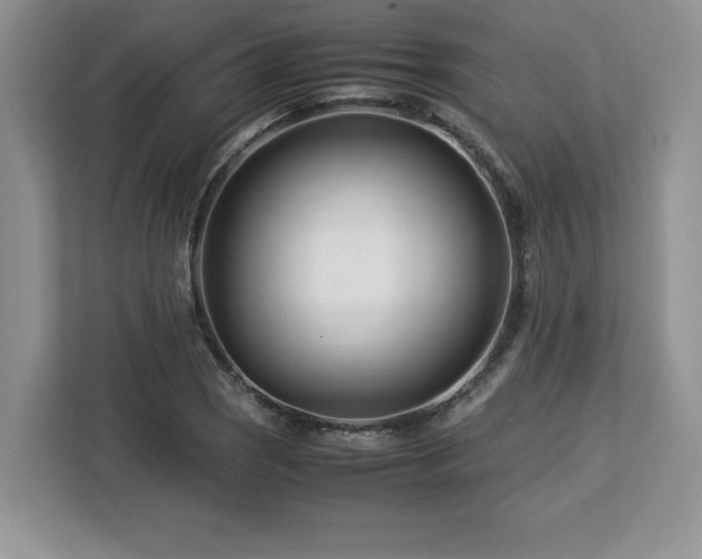 X0000113091121200908281238