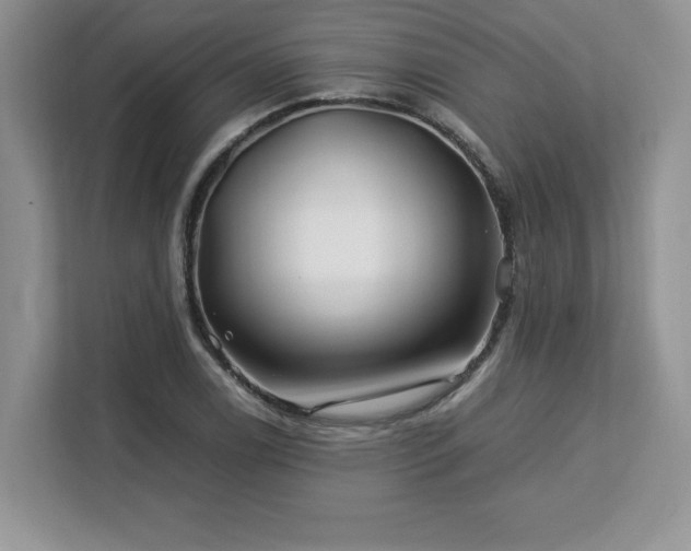 X0000113091122200908281238