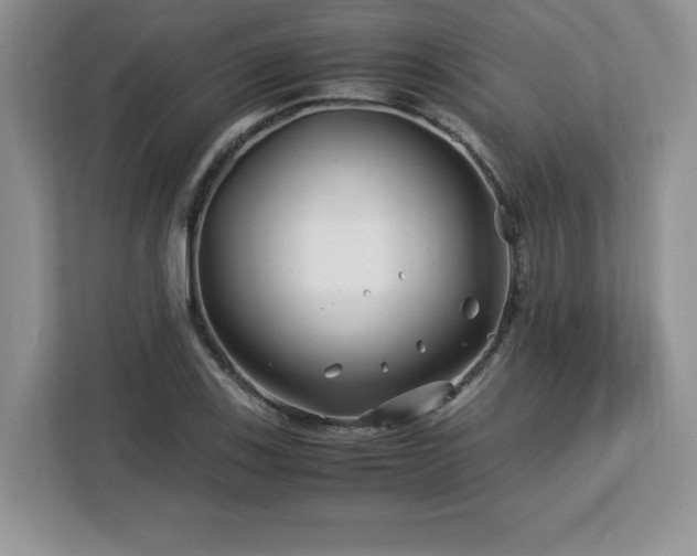 X0000113091123200908281238