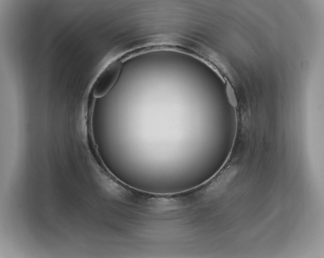 X0000113091124200908281238