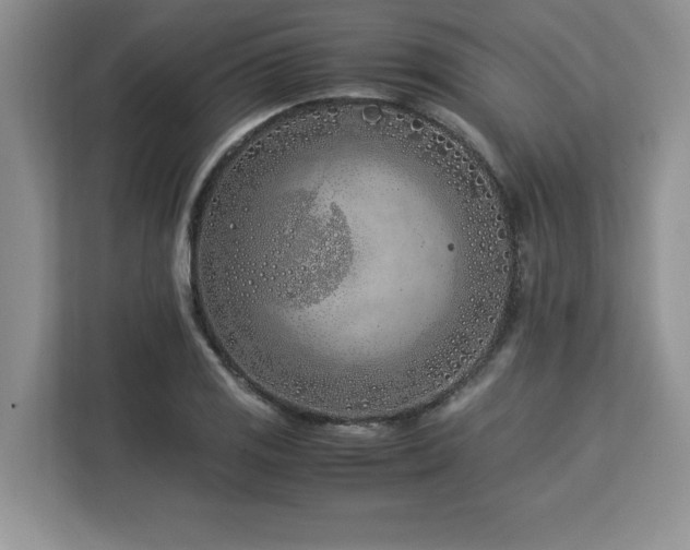 X0000113091125200908281238