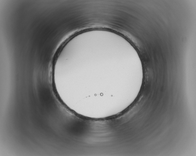 X0000113091126200908281238