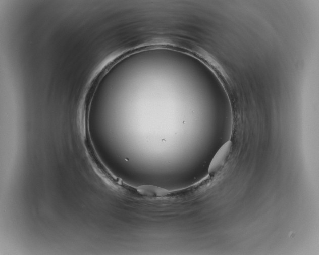 X0000113091127200908281238