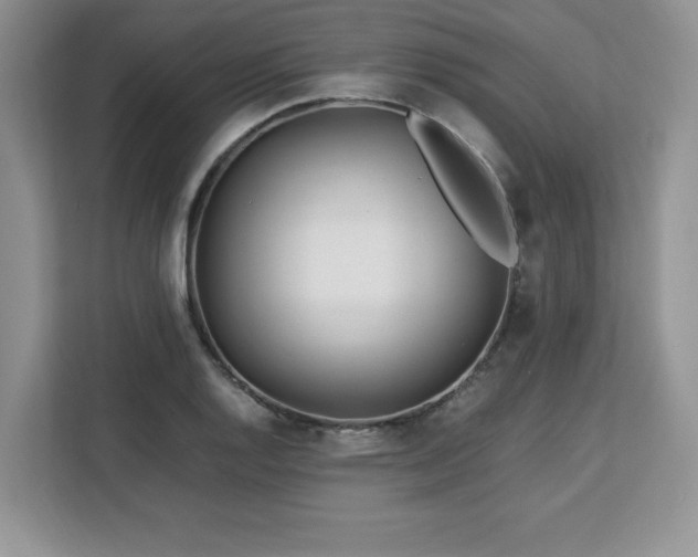 X0000113091128200908281238
