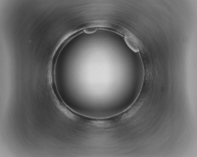 X0000113091132200908281238