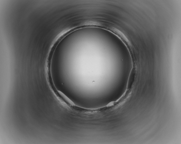 X0000113091133200908281238
