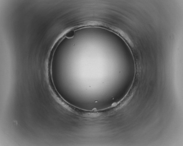 X0000113091134200908281238