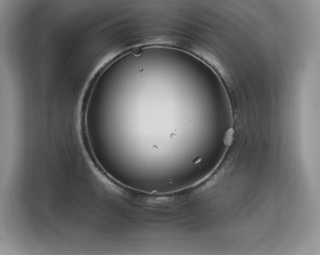X0000113091135200908281238