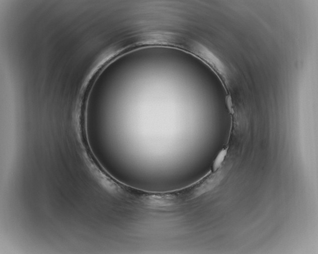 X0000113091138200908281238