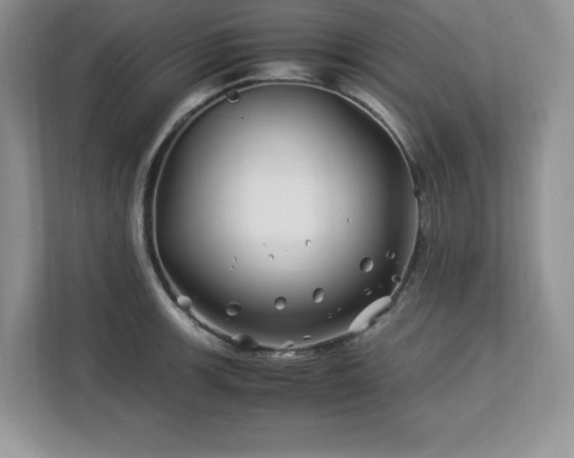 X0000113091139200908281238
