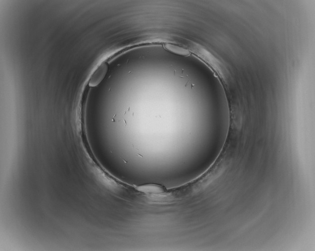 X0000113091140200908281238