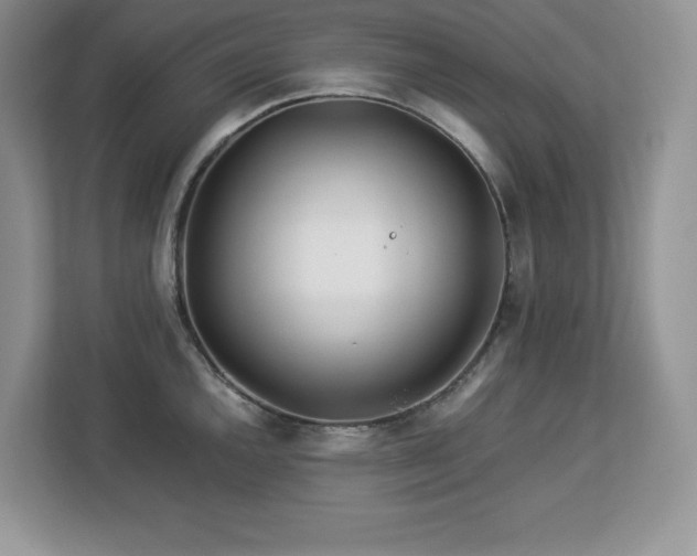 X0000113091144200908281238