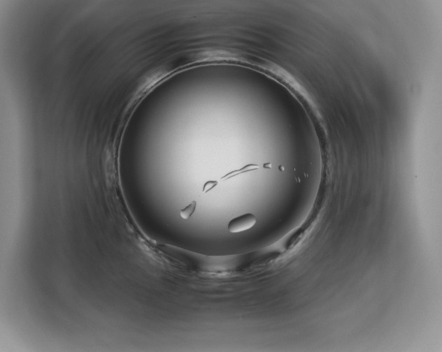 X0000113091145200908281238