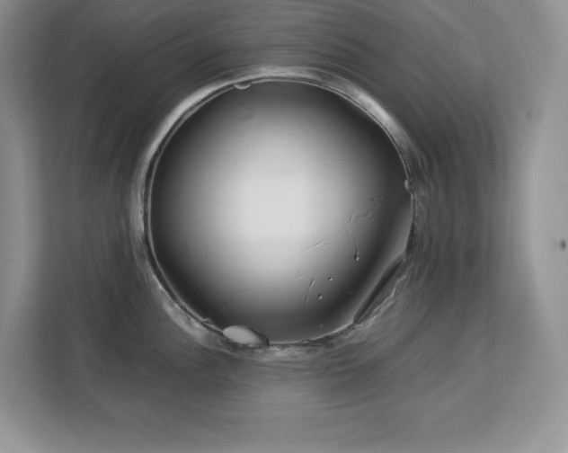 X0000113091148200908281238