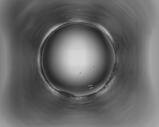 X0000113091149200908281238