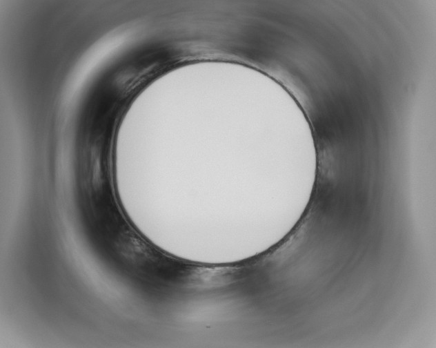 X0000113091150200908281238