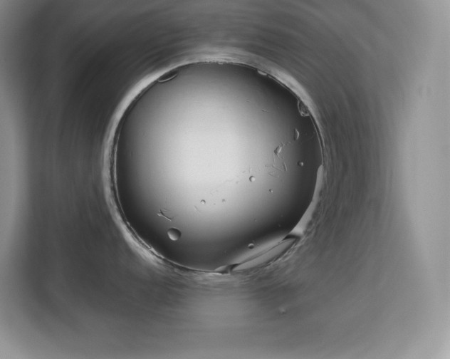 X0000113091152200908281238