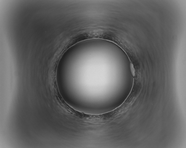 X0000113091153200908281238