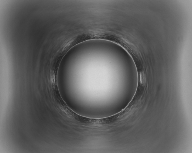 X0000113091155200908281238