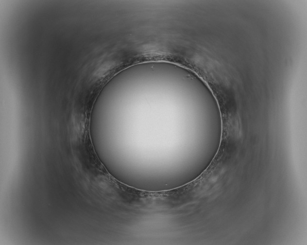 X0000113091157200908281237