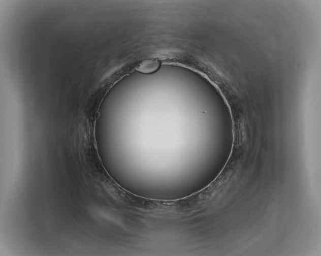 X0000113091158200908281237