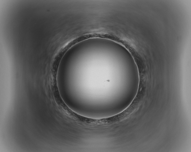 X0000113091159200908281237
