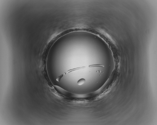 X0000113091160200908281237