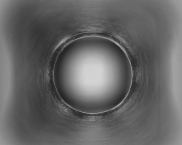 X0000113091163200908281237