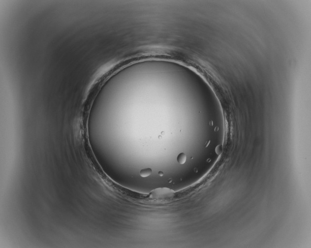 X0000113091164200908281237