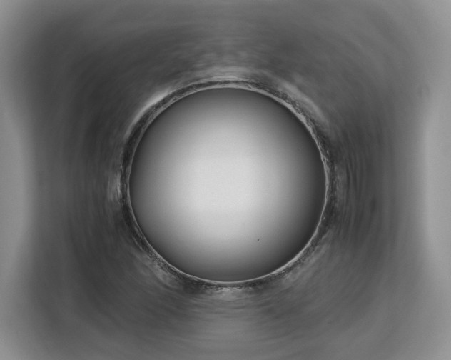 X0000113091166200908281237