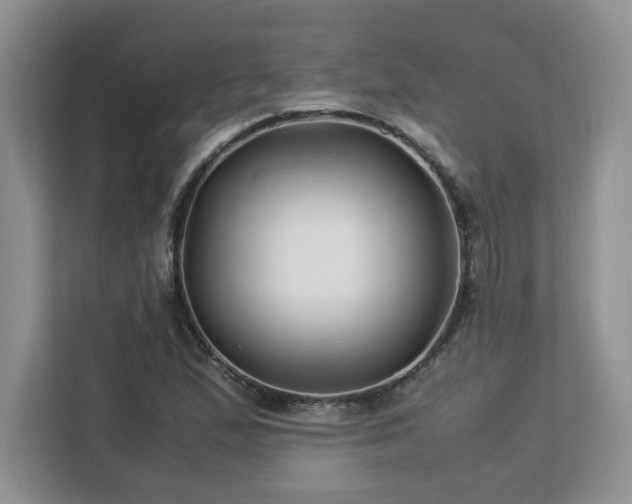 X0000113091167200908281237