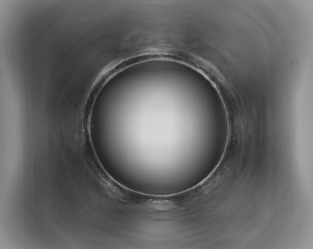 X0000113091168200908281237