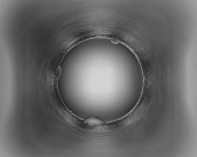 X0000113091169200908281237