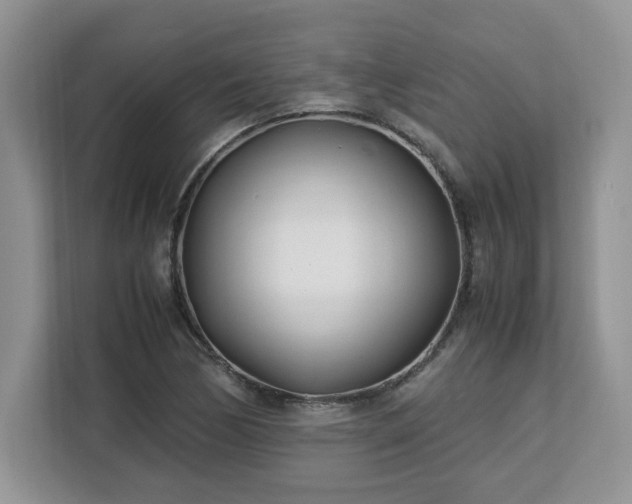 X0000113091170200908281237