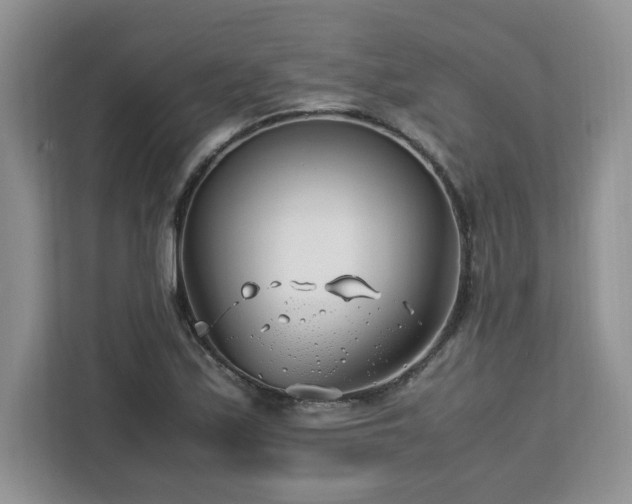 X0000113091171200908281237