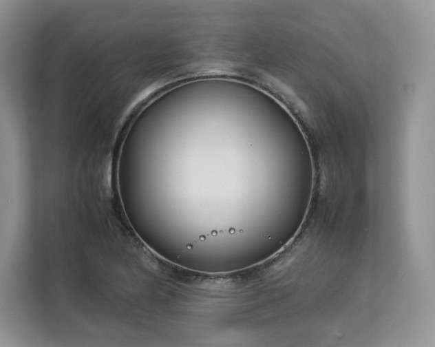 X0000113091174200908281237