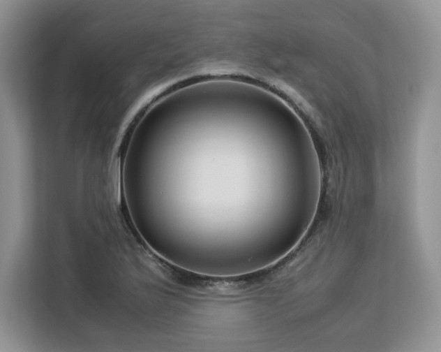 X0000113091175200908281237