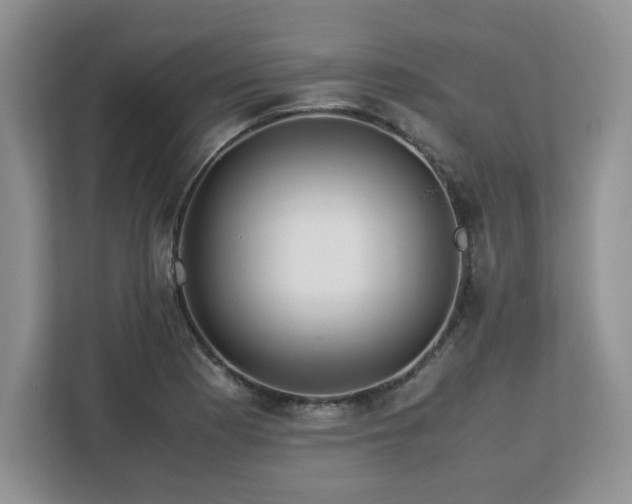 X0000113091177200908281237