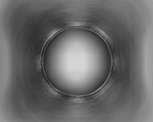 X0000113091178200908281237