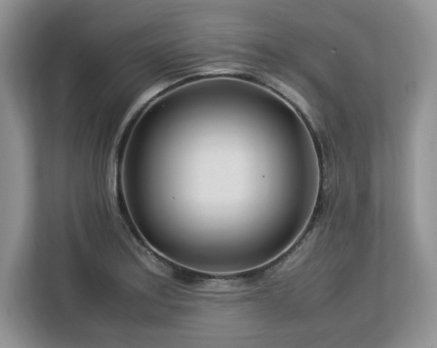 X0000113091179200908281237