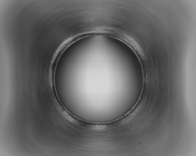 X0000113091180200908281237