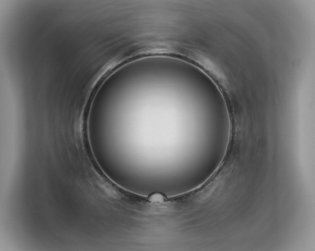 X0000113091181200908281237