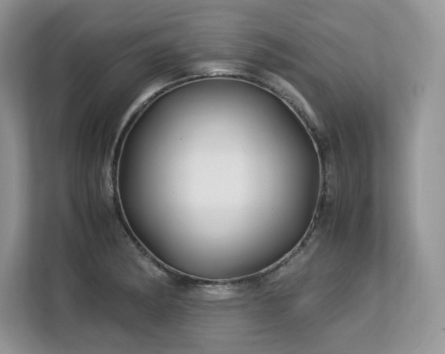 X0000113091182200908281237