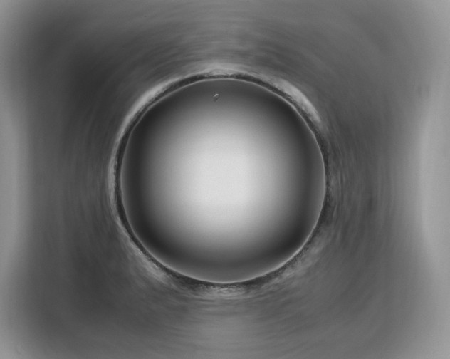 X0000113091183200908281237
