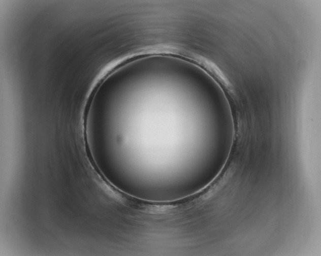 X0000113091184200908281237