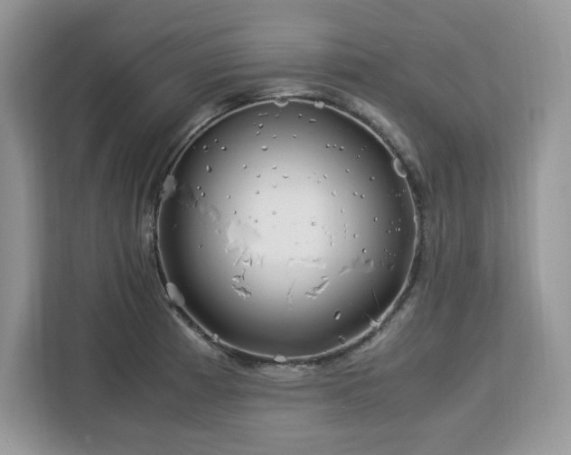 X0000113091185200908281237