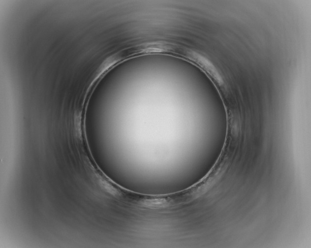 X0000113091186200908281237