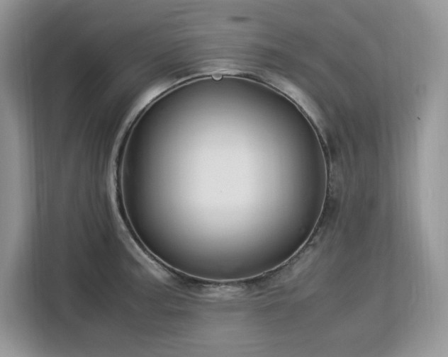 X0000113091187200908281237