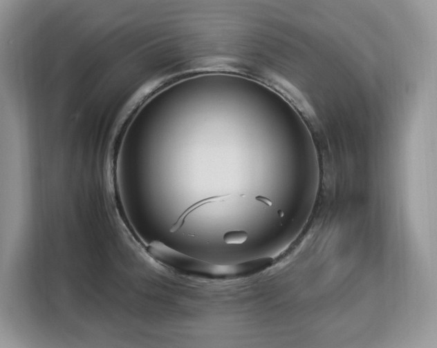 X0000113091188200908281237